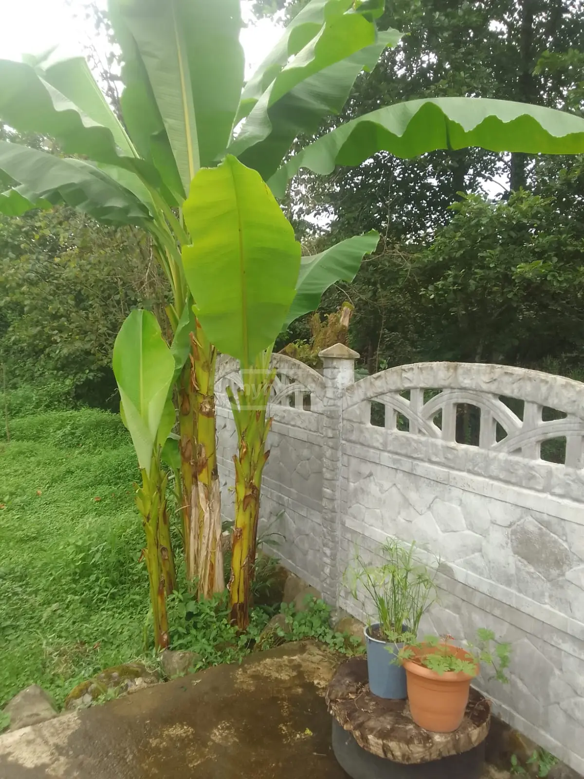 2 Room Private House For Rent In Likhauri, In Ozurgeti Municipality view 4