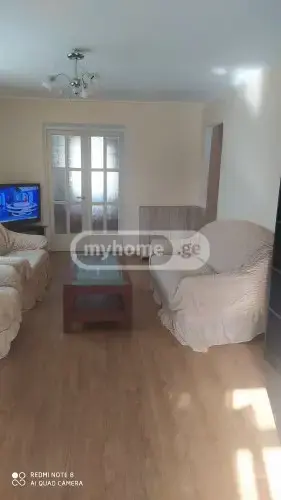 3 Room Apartment For Rent In Tskneti view 2