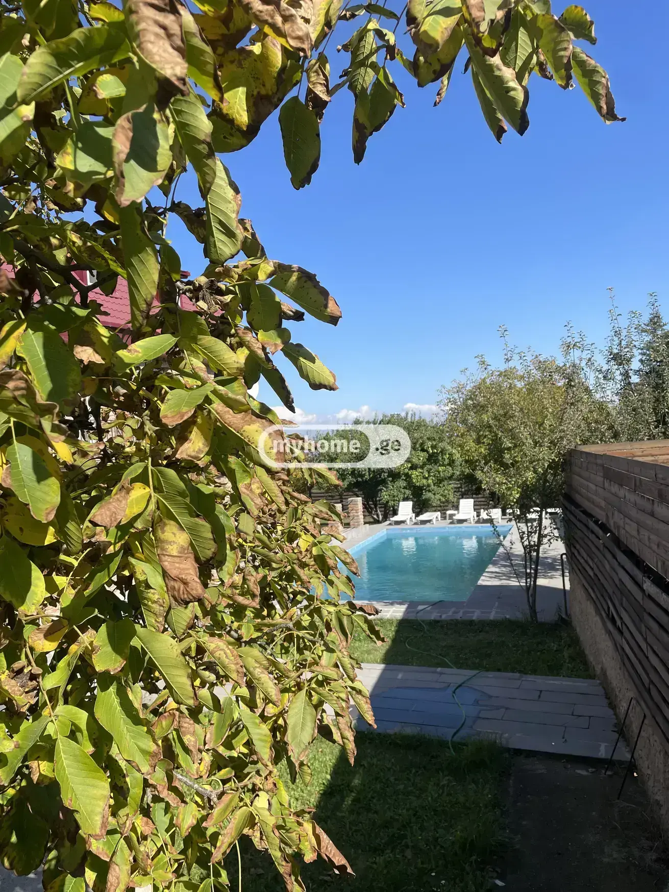 10+ Room Hotel For Rent In Tabakhmela view 27