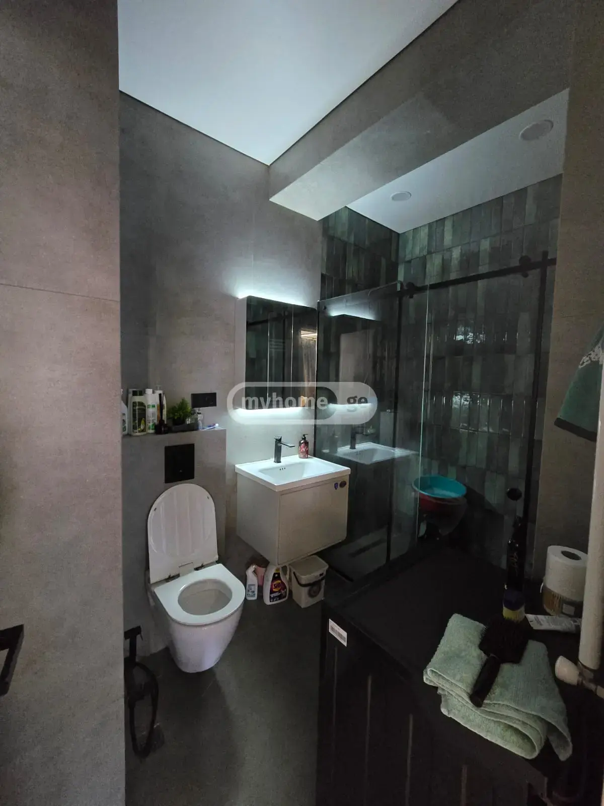3 Room Apartment For Rent In Tskneti view 9