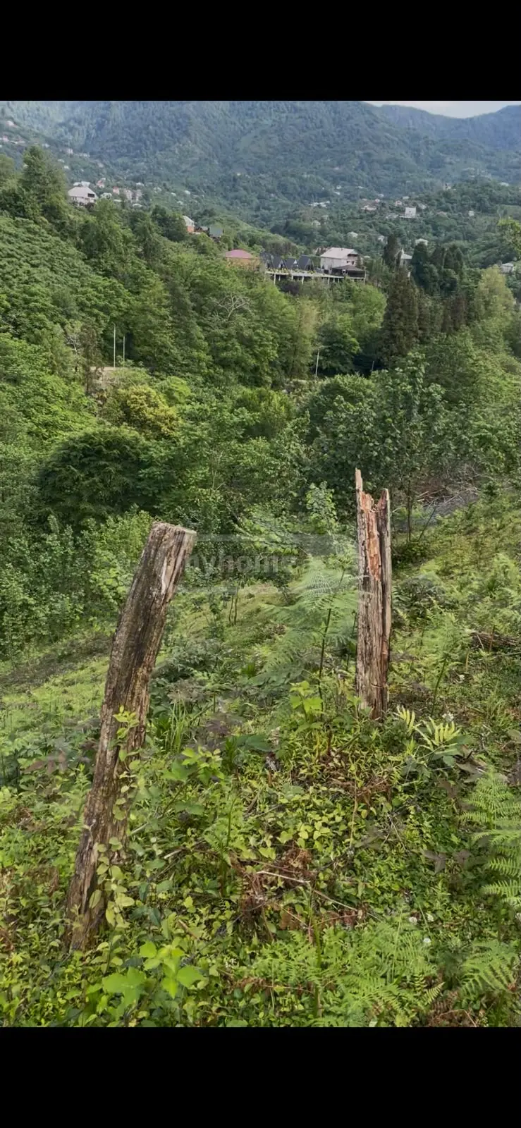 Non-Agricultural Plot For Sale In Tamar Settlement, In Batumi view 4