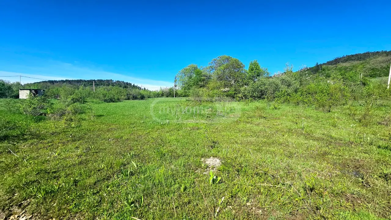Продажа Agricultural Plot в In Orbeti, In Tetritskaro Municipality view 5