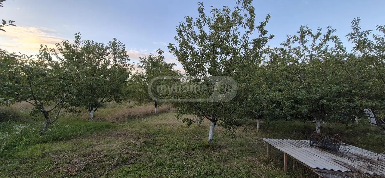 10+ Room Private House For Sale In Akhalkalaki, In Kaspi Municipality view 9