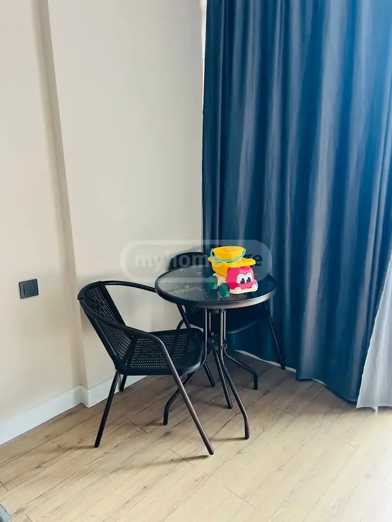1 Room Apartment For Rent In Tamar Settlement, In Batumi view 8