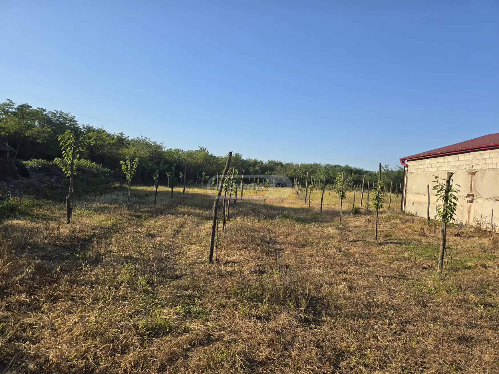 5 Room Private House For Sale view 5
