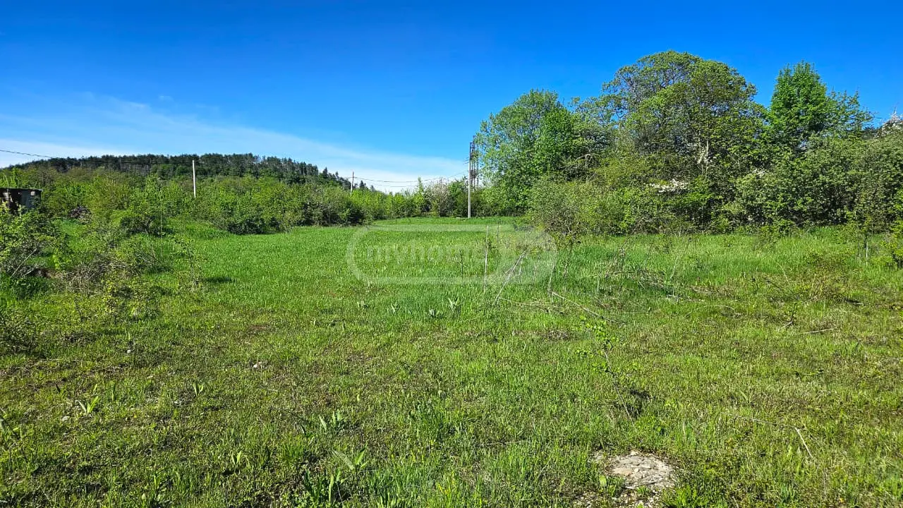 Продажа Agricultural Plot в In Orbeti, In Tetritskaro Municipality view 6