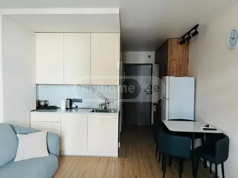 1 Room Apartment For Rent In Tamar Settlement, In Batumi view 6