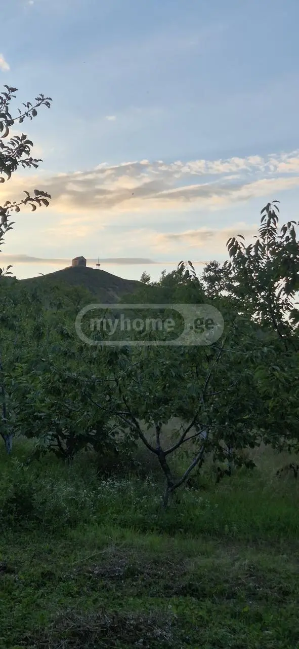 10+ Room Private House For Sale In Akhalkalaki, In Kaspi Municipality view 3