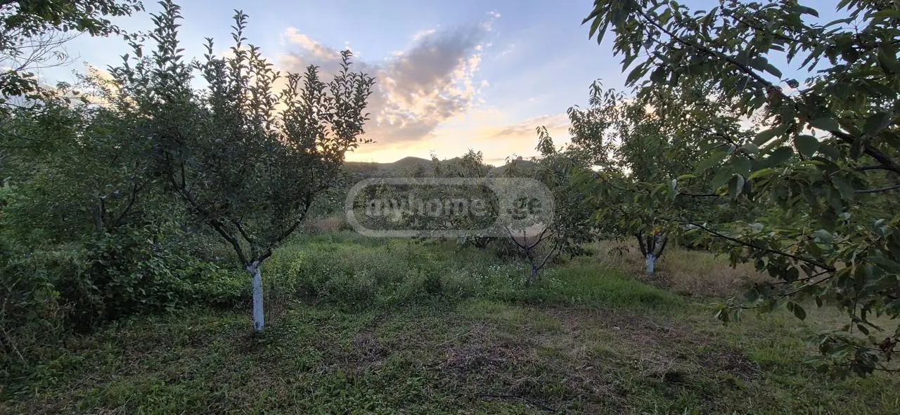 10+ Room Private House For Sale In Akhalkalaki, In Kaspi Municipality view 8