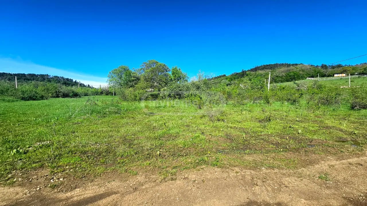 Продажа Agricultural Plot в In Orbeti, In Tetritskaro Municipality view 3