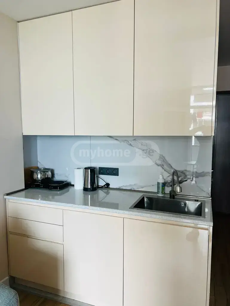1 Room Apartment For Rent In Tamar Settlement, In Batumi view 5