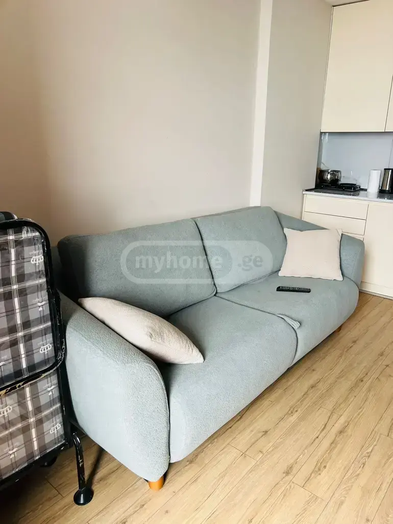 1 Room Apartment For Rent In Tamar Settlement, In Batumi view 4