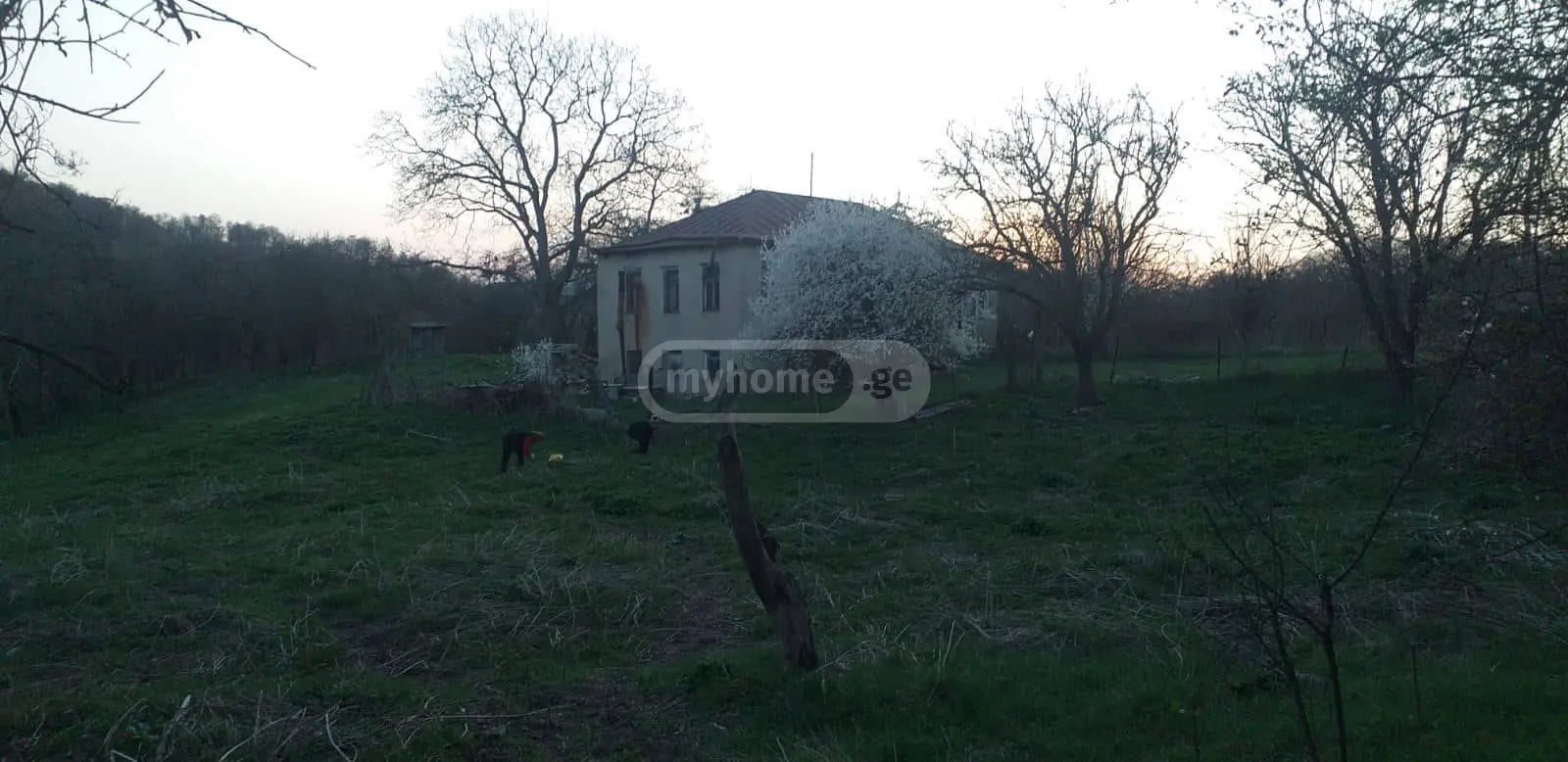 5 Room Country House For Sale view 8