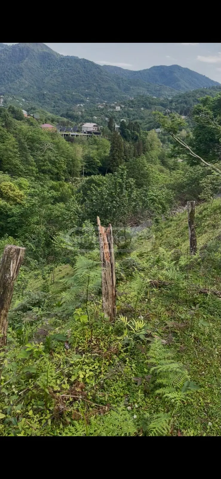 Non-Agricultural Plot For Sale In Tamar Settlement, In Batumi view 2