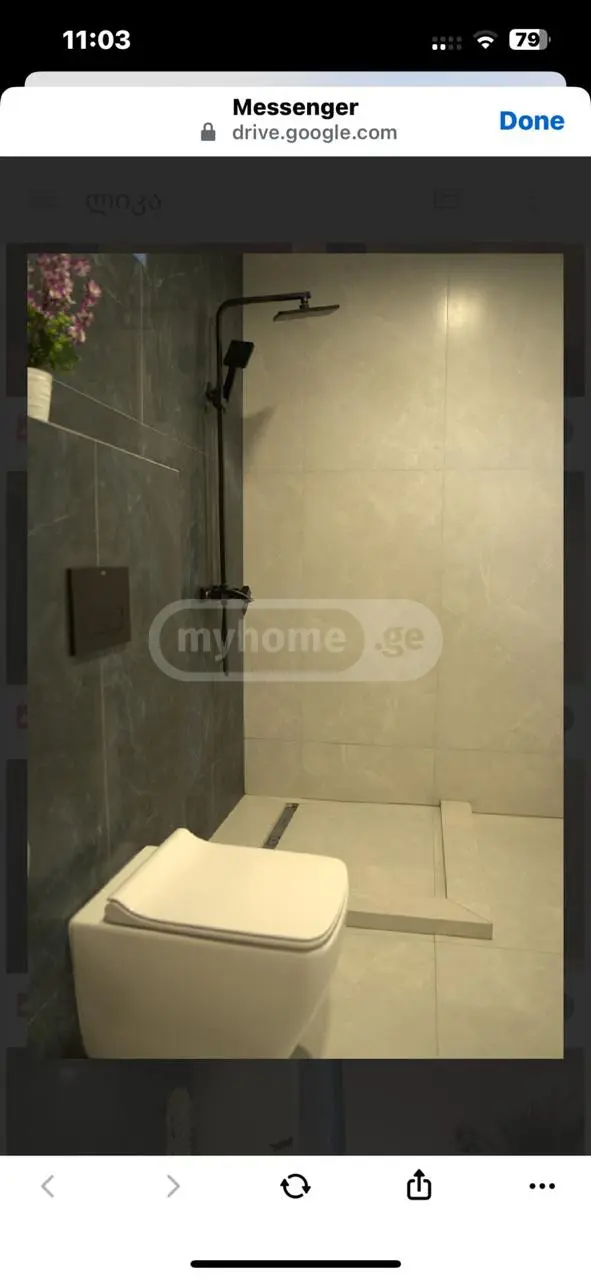 5 Room Private House Daily Rent In Bazaleti, In Dusheti Municipality view 8
