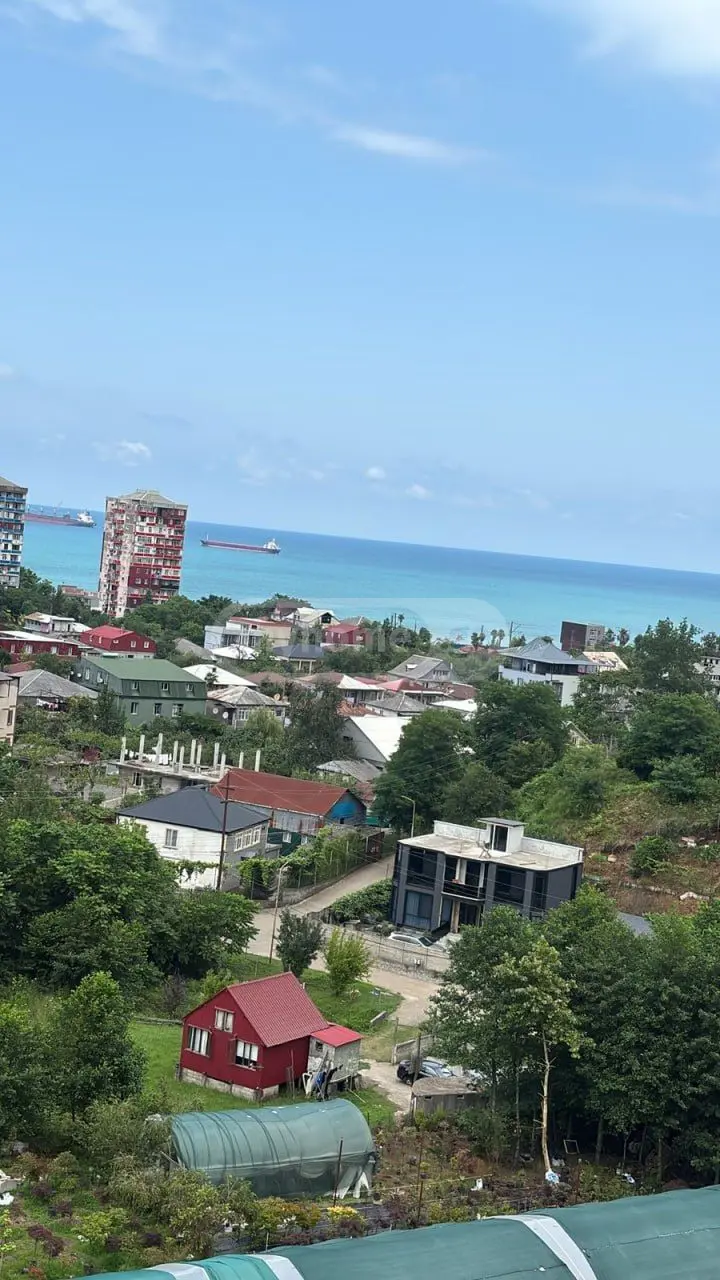 3 Room Apartment For Rent In Tamar Settlement, In Batumi view 5