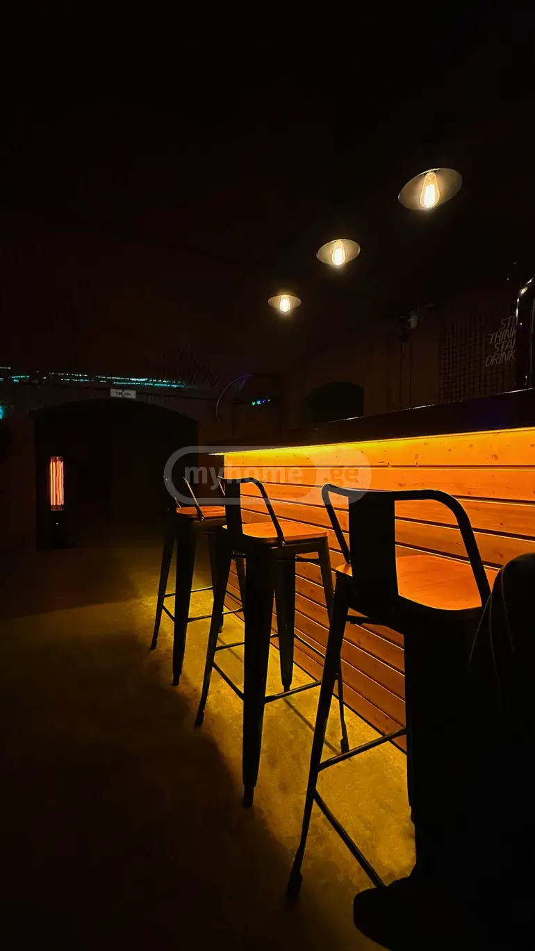 4 Room Private House Daily Rent In Chugureti view 16