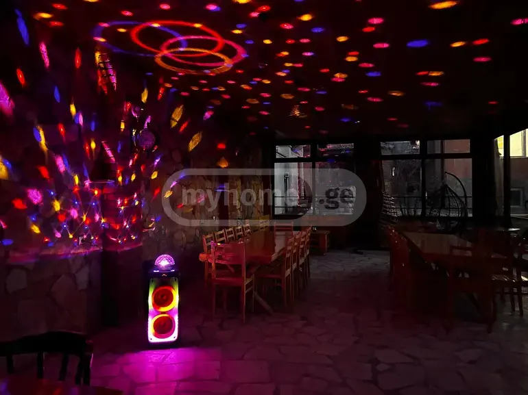 1 Room Private House Daily Rent In Sololaki view 19