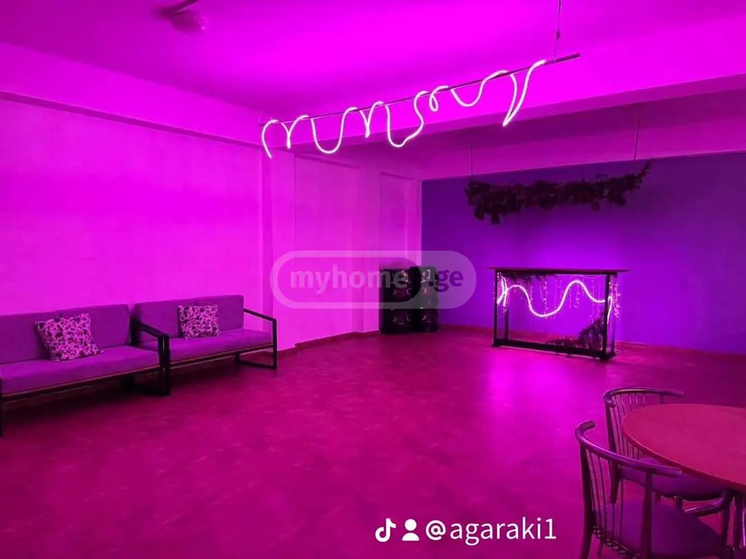 4 Room Apartment Daily Rent In Didi Digomi view 10
