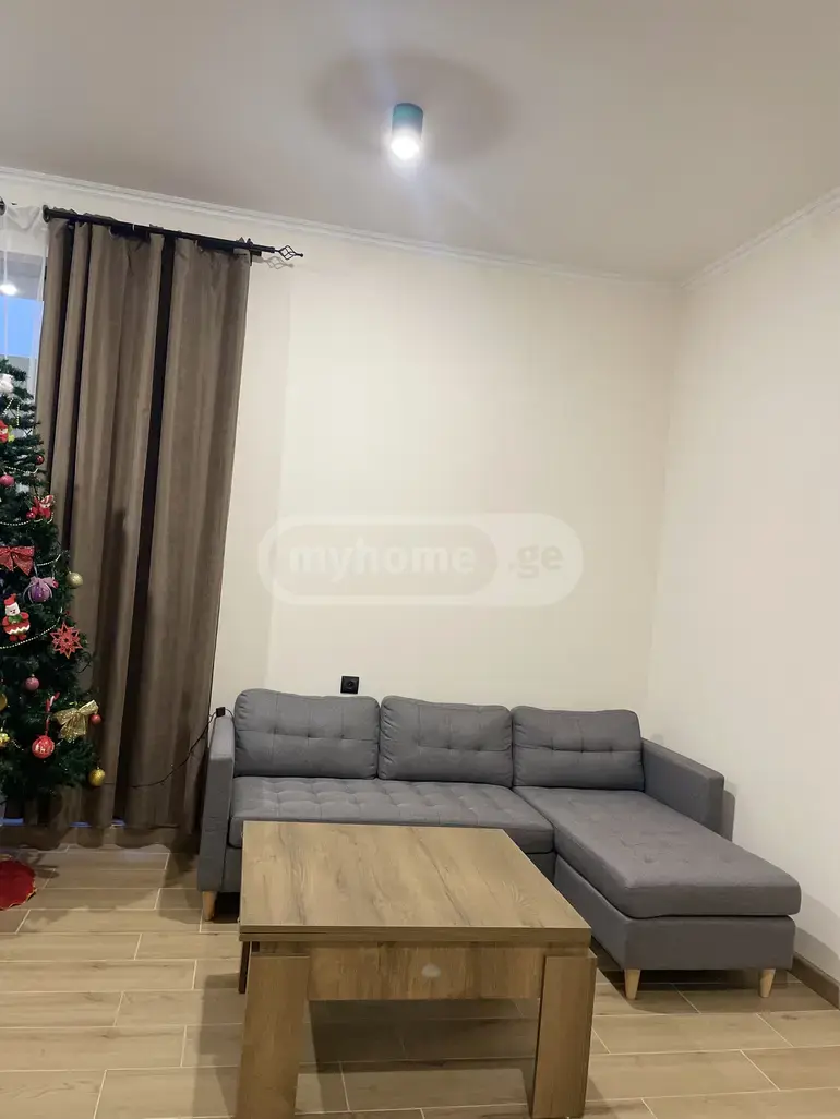 3 Room Country House Daily Rent In Kojori view 6
