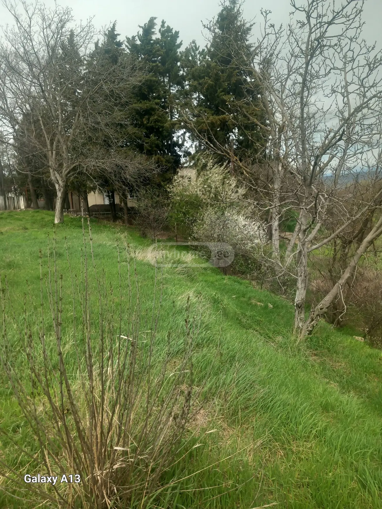 5 Room Country House For Sale view 12
