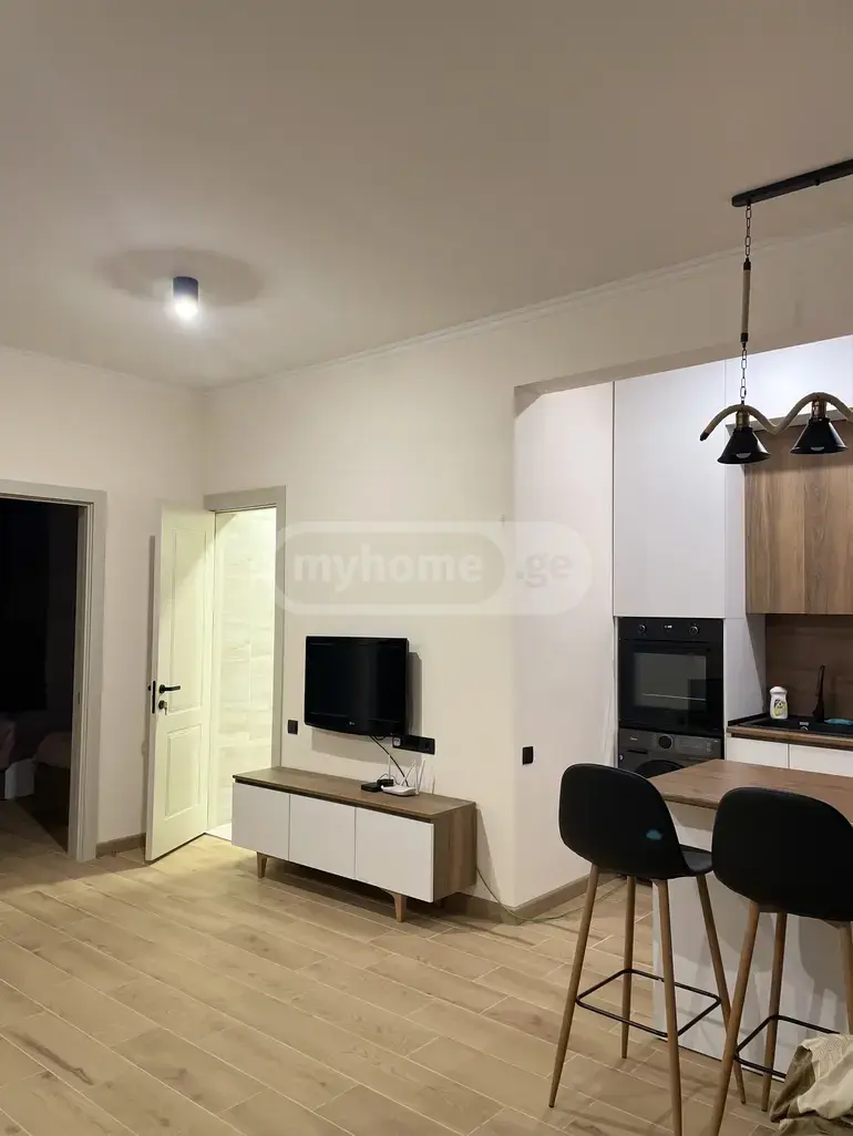 3 Room Country House Daily Rent In Kojori view 7