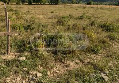 იყიდება Agricultural Plot In Kaprovan, In Ozurgeti Municipalityში view 1