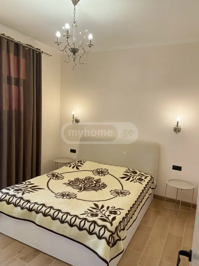 3 Room Country House Daily Rent In Kojori view 13