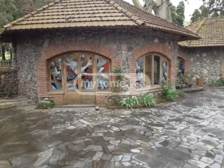 Food Object Commercial Area For Sale In Ureki, In Ozurgeti Municipality view 8