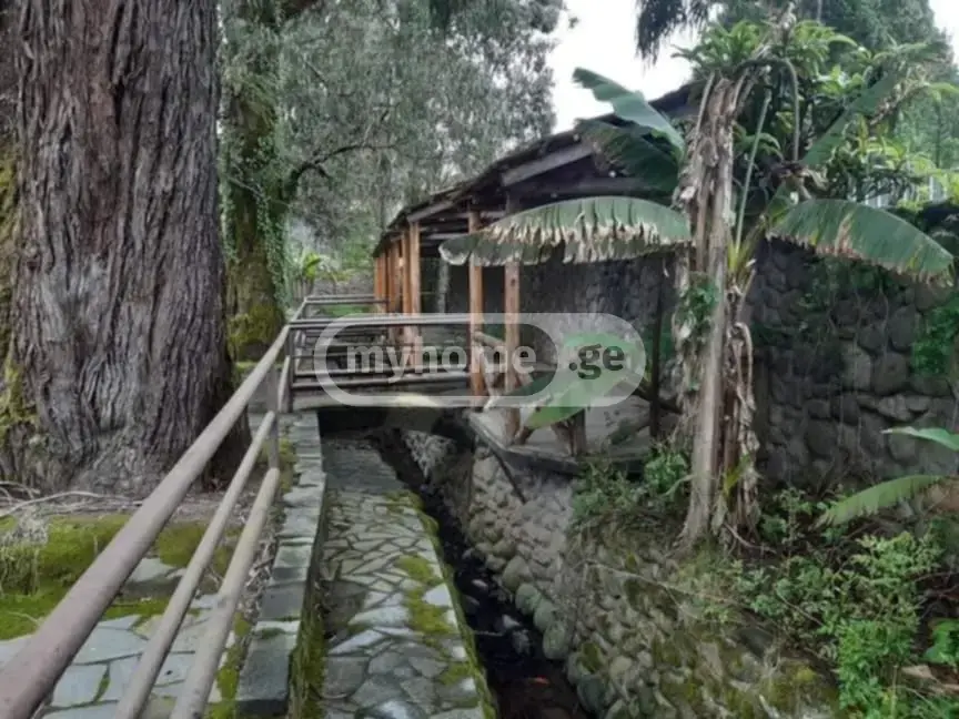 Food Object Commercial Area For Sale In Ureki, In Ozurgeti Municipality view 6