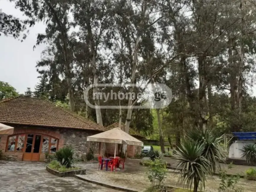 Food Object Commercial Area For Sale In Ureki, In Ozurgeti Municipality view 4
