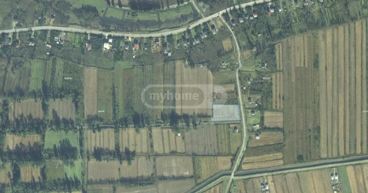 იყიდება Agricultural Plot In Kirovi, In Zugdidi Municipalityში view 4