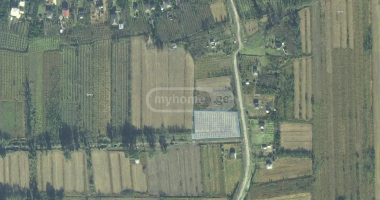 იყიდება Agricultural Plot In Kirovi, In Zugdidi Municipalityში view 3