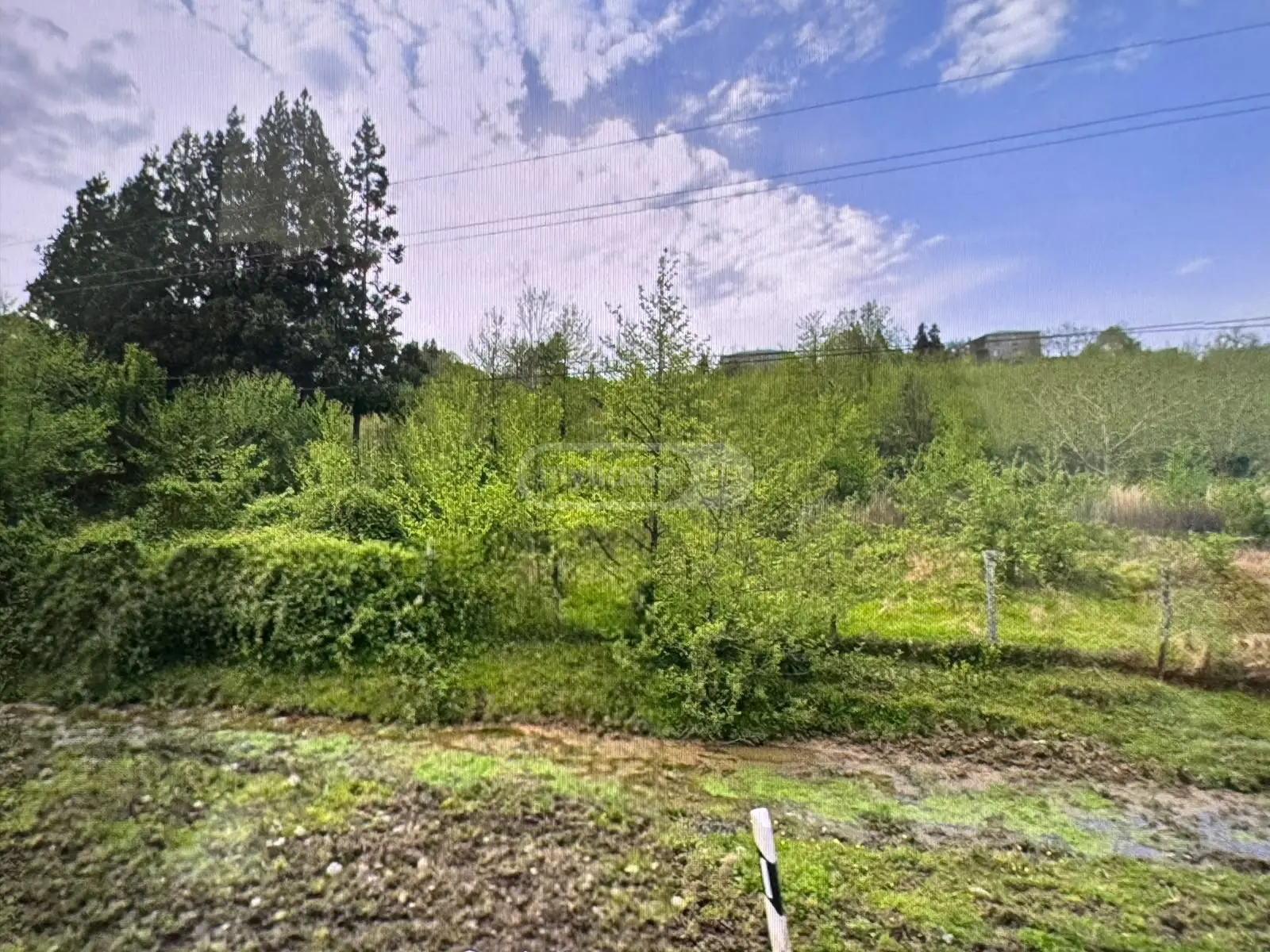 Agricultural Plot For Sale In Ozurgeti view 3