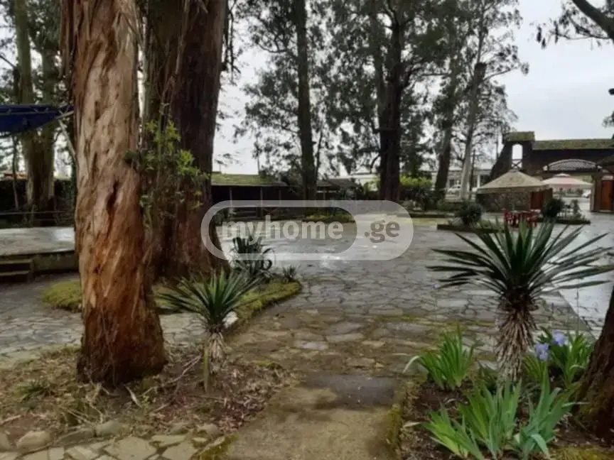 Food Object Commercial Area For Sale In Ureki, In Ozurgeti Municipality view 7
