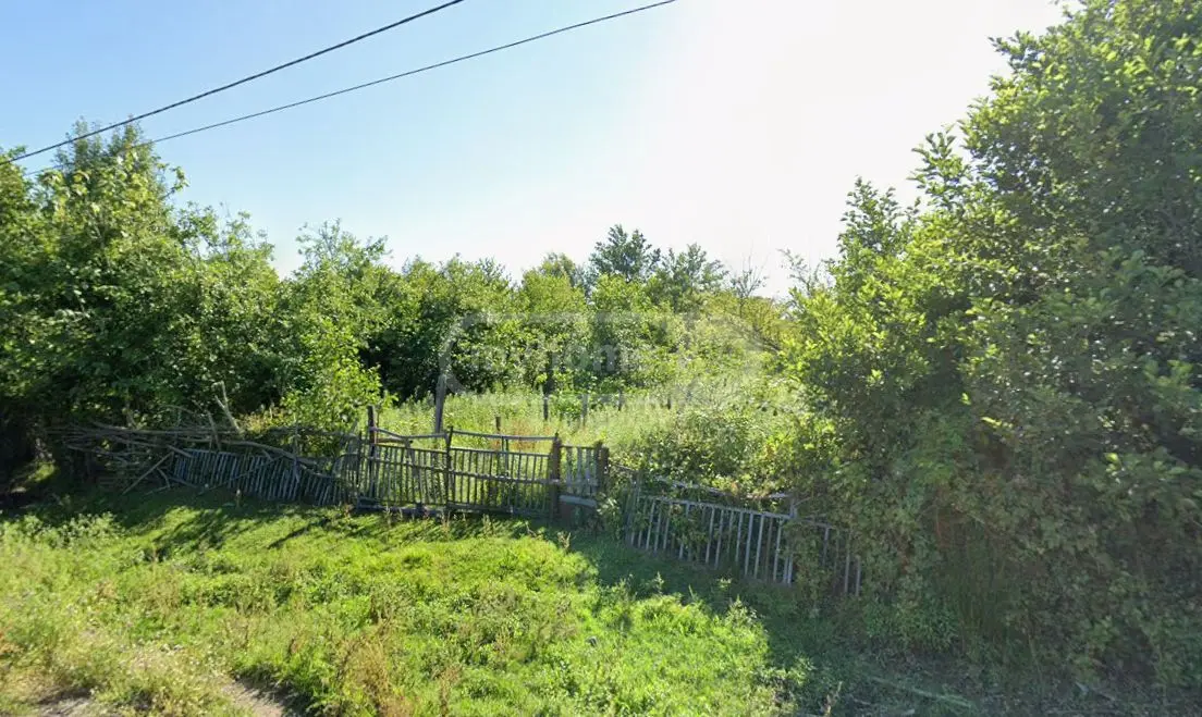 იყიდება Agricultural Plot In Kirovi, In Zugdidi Municipalityში view 2