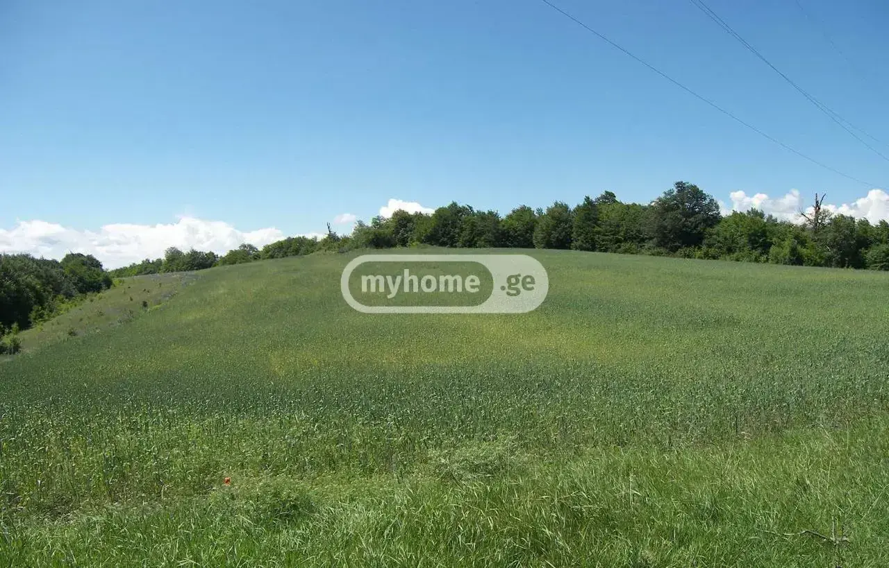 Farm Plot For Sale In Dusheti view 6