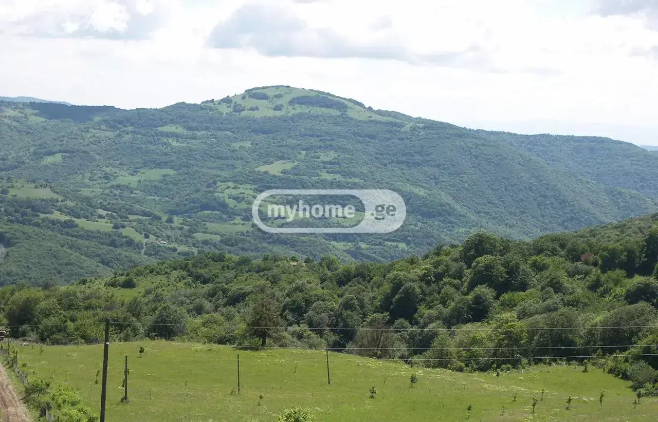 Farm Plot For Sale In Dusheti view 3