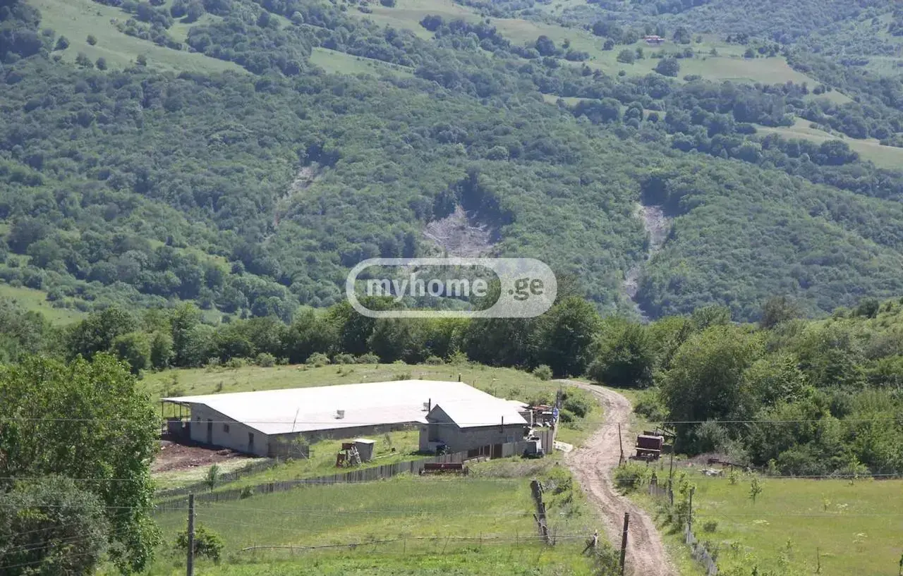 Farm Plot For Sale In Dusheti view 1