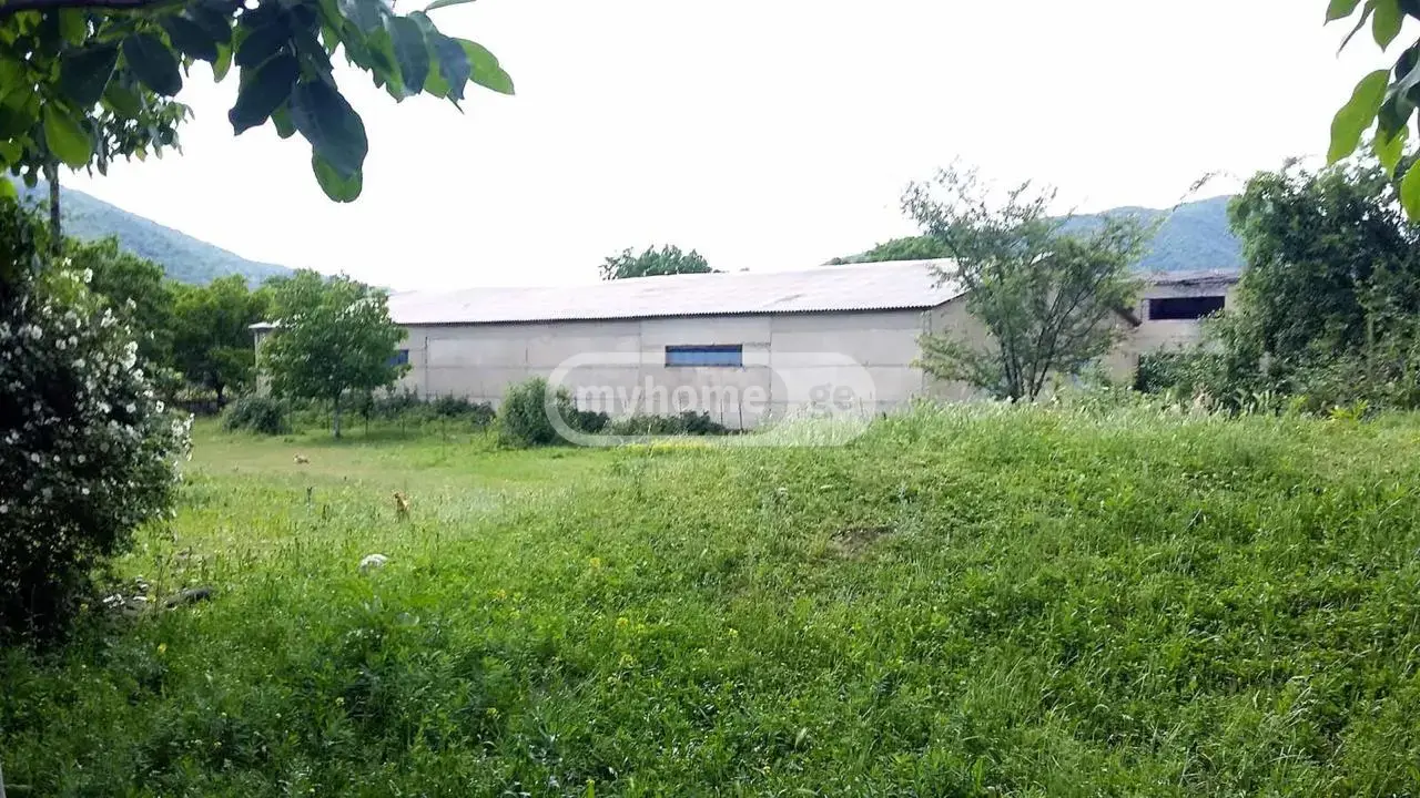 Universal Commercial Area For Sale In Bulachauri, In Dusheti Municipality view 1