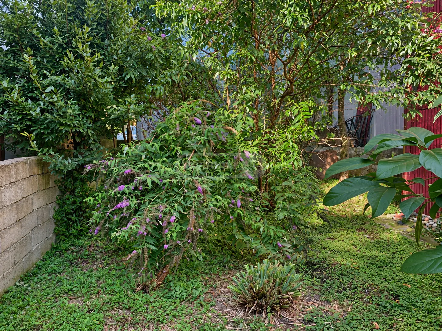 4 Room Private House For Sale view 16