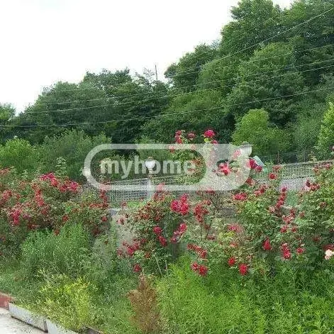 10+ Room Private House For Sale In Dusheti view 6