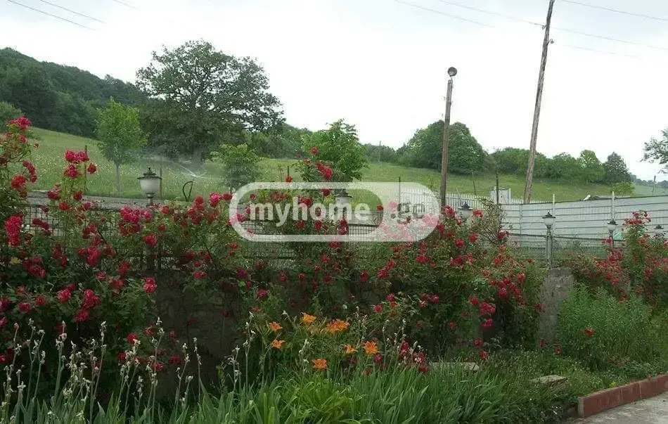 10+ Room Private House For Sale In Dusheti view 4