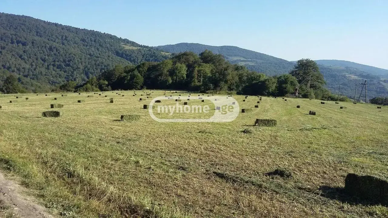 Farm Plot For Sale In Dusheti view 2