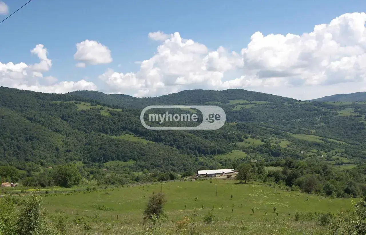 Farm Plot For Sale In Dusheti view 5