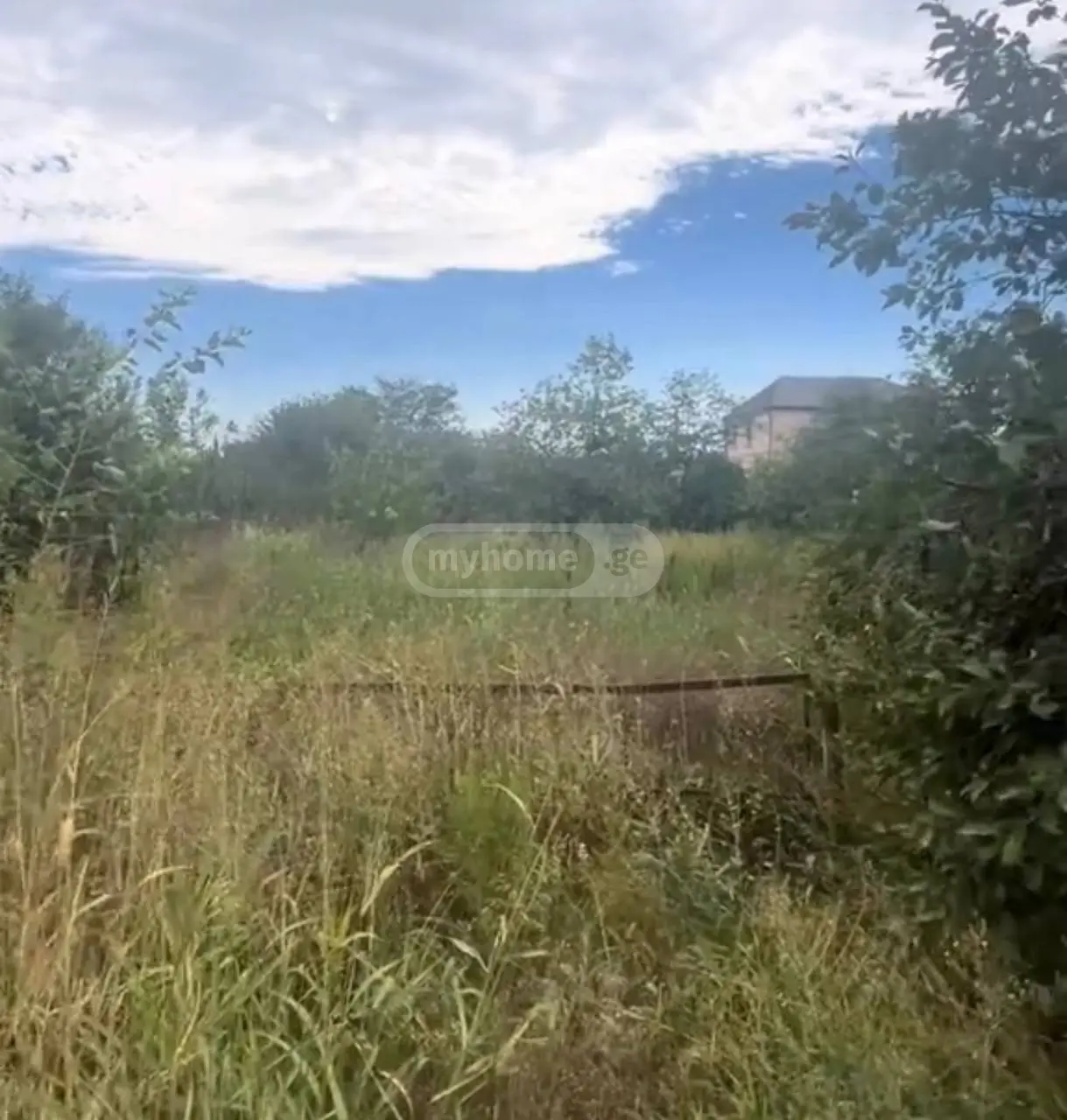 Agricultural Plot For Sale In Gardabani view 10