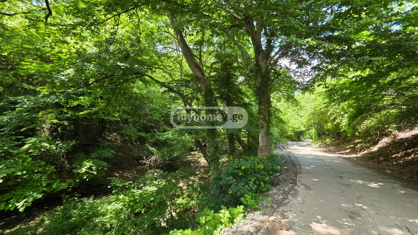 7 Room Country House For Sale view 5