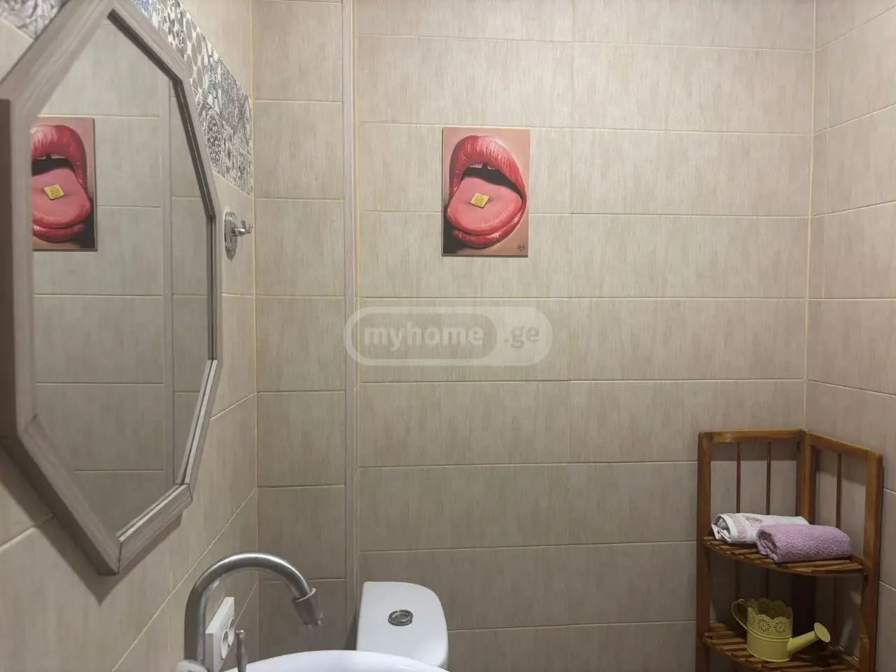 2 Room Apartment For Rent In Telavi view 8
