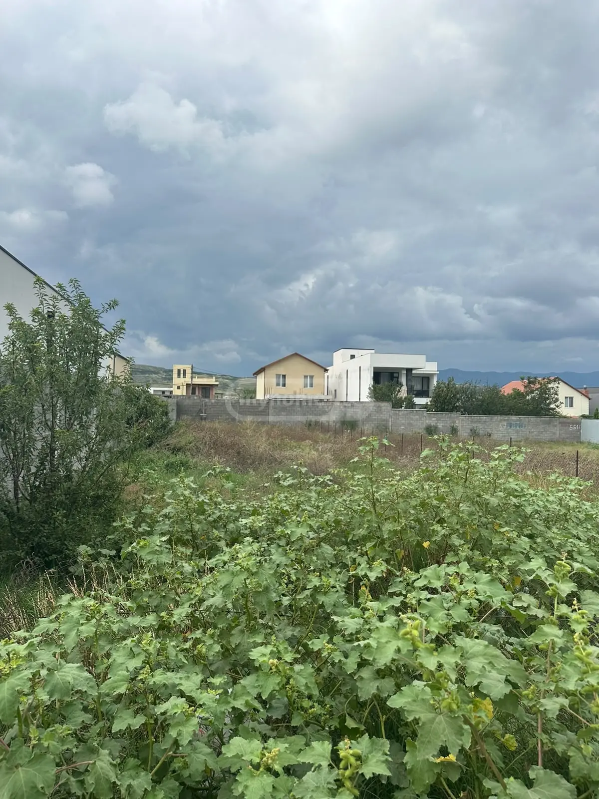 Agricultural Plot For Sale In Didi Digomi view 3