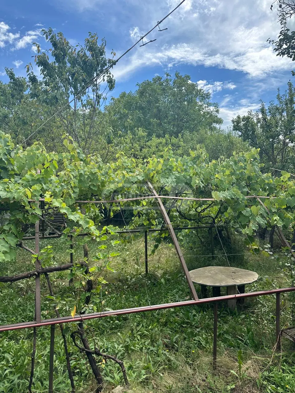 5 Room Private House For Sale view 4